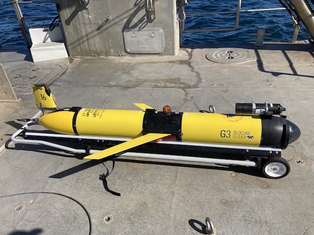 WHOI DMON marine mammal detector